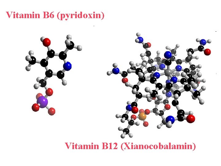 Vitamin B 6 (pyridoxin) Vitamin B 12 (Xianocobalamin) Vitamin B 6 (pyridoxin) Vitamin B 12 (Xianocobalamin)