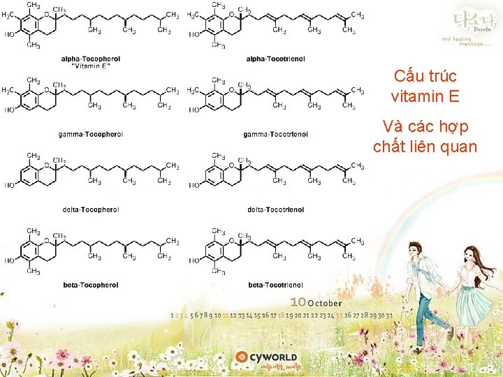 Cấu trúc vitamin E Và các hợp chất liên quan Cấu trúc vitamin E Và các hợp chất liên quan