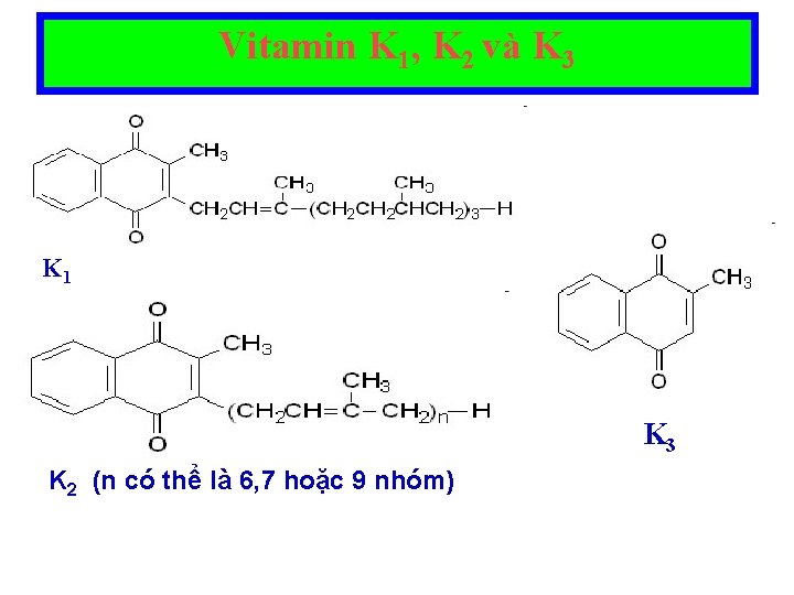 Vitamin K 1, K 2 và K 3 K 1 K 3 K 2 Vitamin K 1, K 2 và K 3 K 1 K 3 K 2