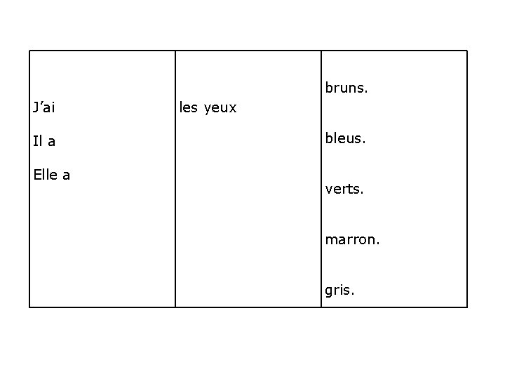 bruns. J’ai Il a Elle a les yeux bleus. verts. marron. gris. 