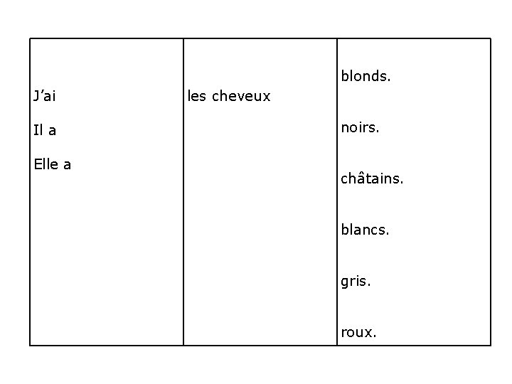 blonds. J’ai Il a Elle a les cheveux noirs. châtains. blancs. gris. roux. 