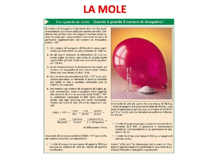 LA MOLE 