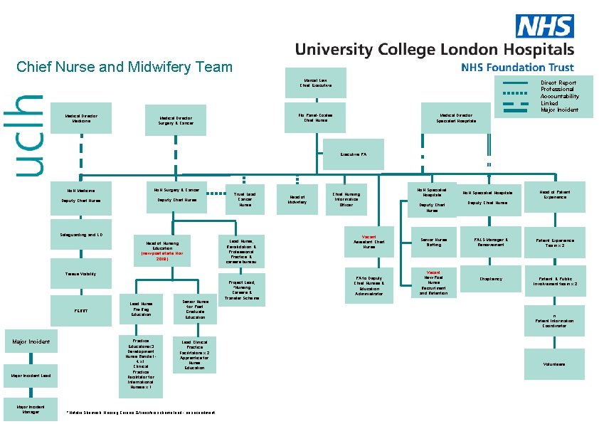 Chief Nurse and Midwifery Team Marcel Levi Chief Executive Medical Director Medicine Flo Panel-Coates