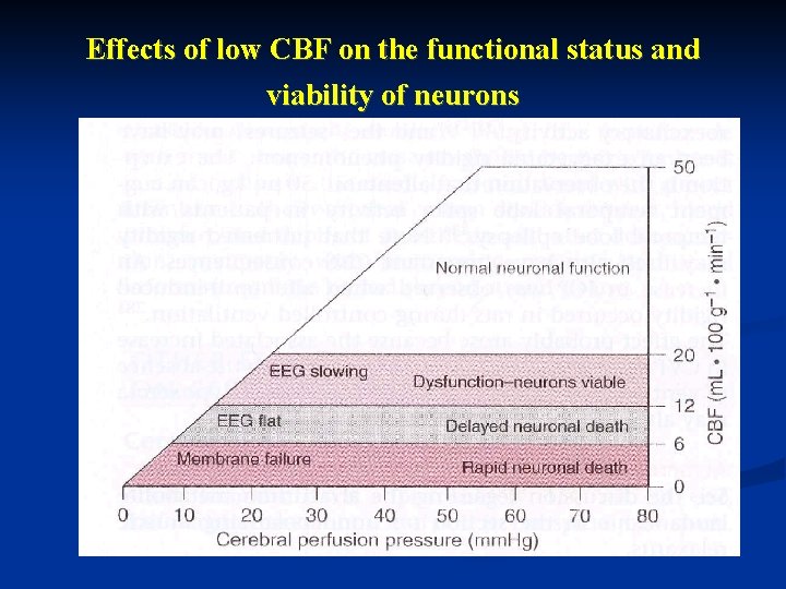 Effects of low CBF on the functional status and viability of neurons Effects of low CBF on the functional status and viability of neurons