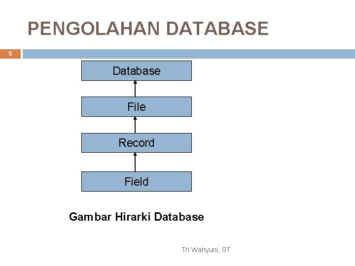 PENGOLAHAN DATABASE 5 Database File Record Field Gambar Hirarki Database Tri Wahyuni, ST 