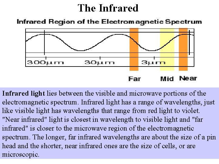 The Infrared light lies between the visible and microwave portions of the electromagnetic spectrum.