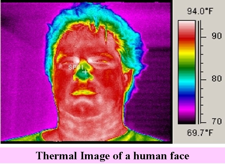 Thermal Image of a human face 