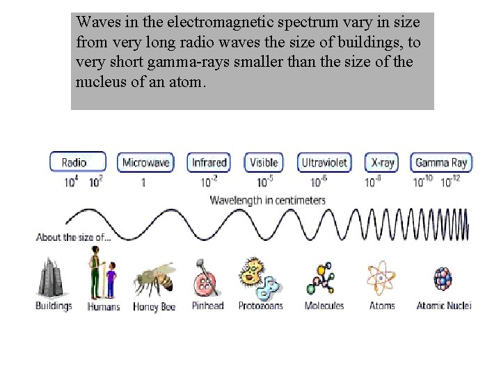 Waves in the electromagnetic spectrum vary in size from very long radio waves the