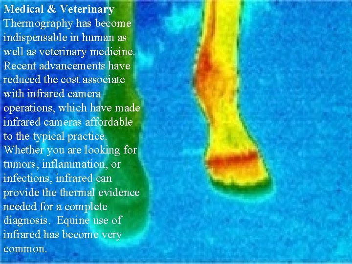 Medical & Veterinary Thermography has become indispensable in human as well as veterinary medicine.