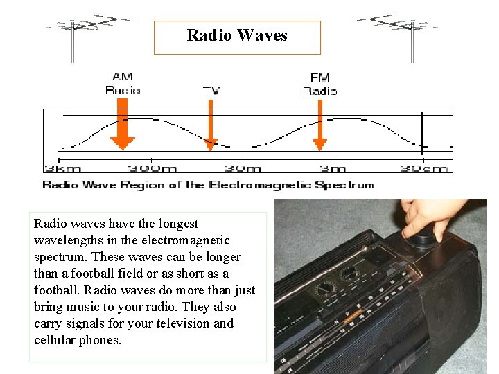 Radio Waves Radio waves have the longest wavelengths in the electromagnetic spectrum. These waves