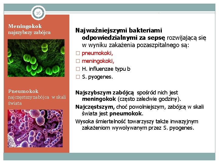 16 Meningokok najszybszy zabójca Najważniejszymi bakteriami odpowiedzialnymi za sepsę rozwijającą się w wyniku zakażenia