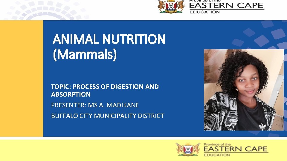 ANIMAL NUTRITION (Mammals) TOPIC: PROCESS OF DIGESTION AND ABSORPTION PRESENTER: MS A. MADIKANE BUFFALO