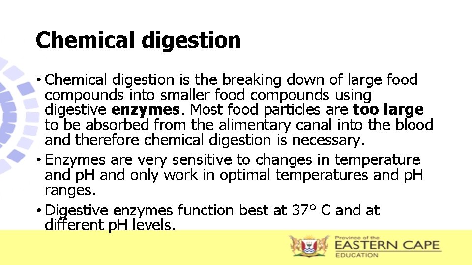 Chemical digestion • Chemical digestion is the breaking down of large food compounds into