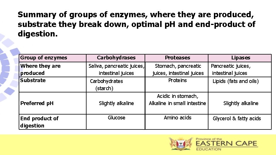 Summary of groups of enzymes, where they are produced, substrate they break down, optimal