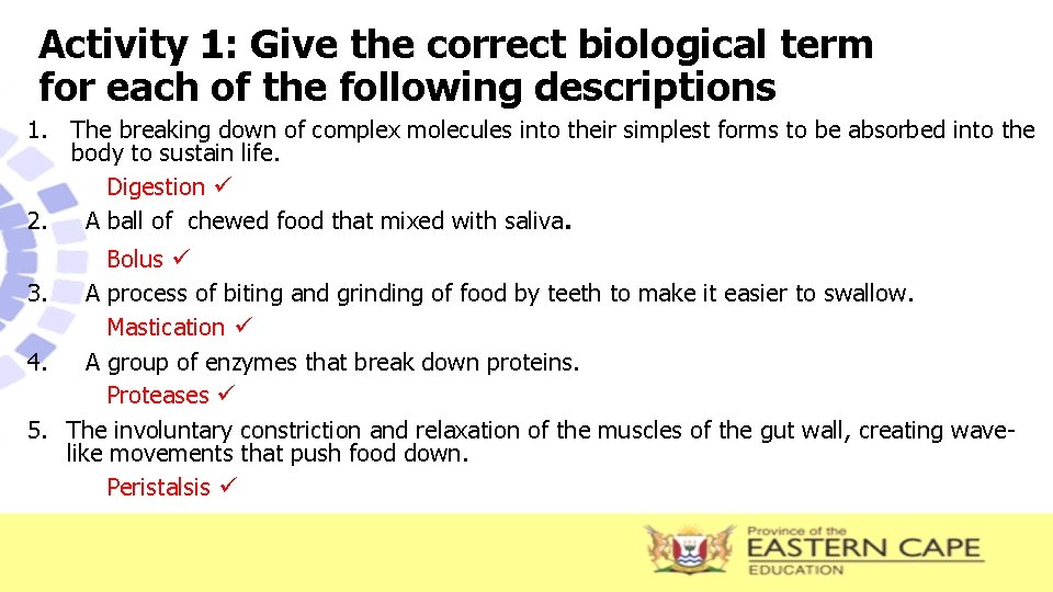 Activity 1: Give the correct biological term for each of the following descriptions 1.
