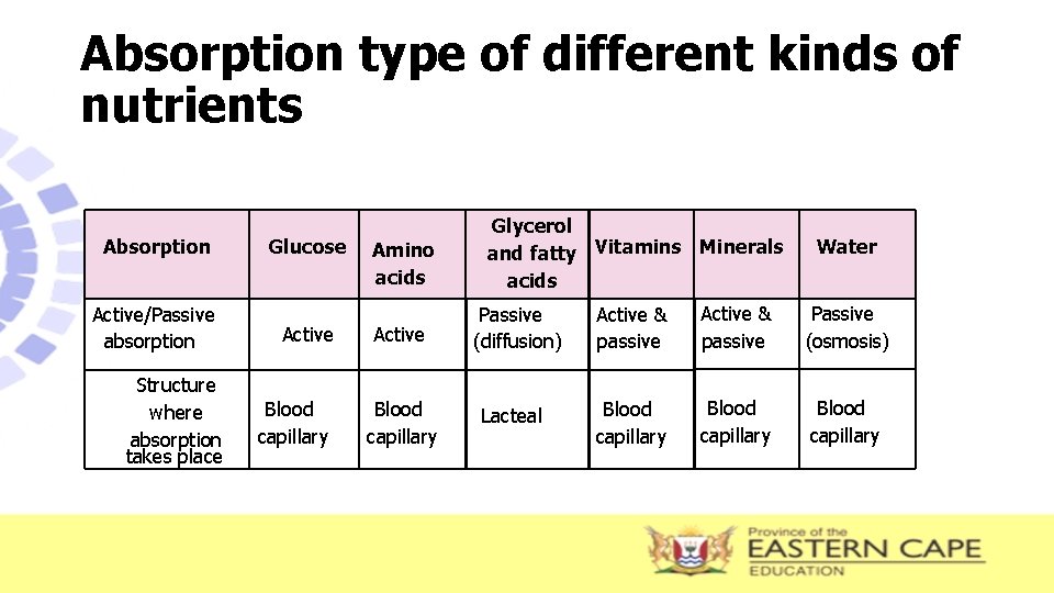 Absorption type of different kinds of nutrients Absorption Glucose Amino acids Active/Passive absorption Structure