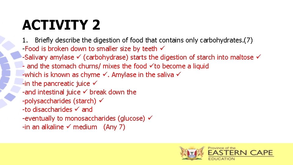 ACTIVITY 2 1. Briefly describe the digestion of food that contains only carbohydrates. (7)