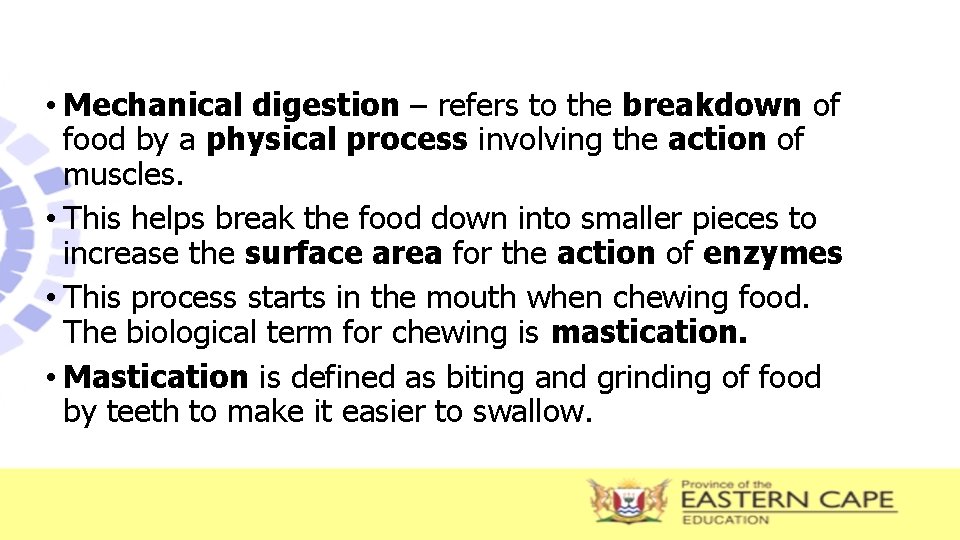  • Mechanical digestion – refers to the breakdown of food by a physical