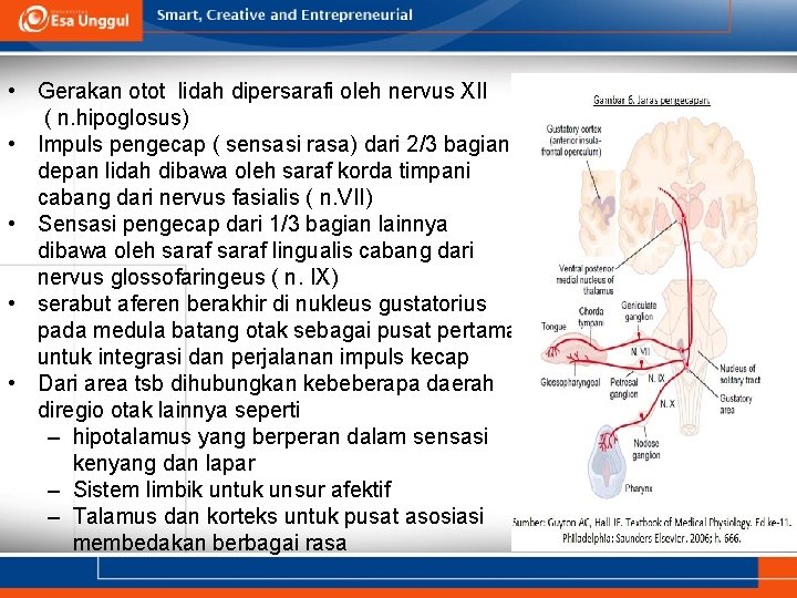  • Gerakan otot lidah dipersarafi oleh nervus XII ( n. hipoglosus) • Impuls