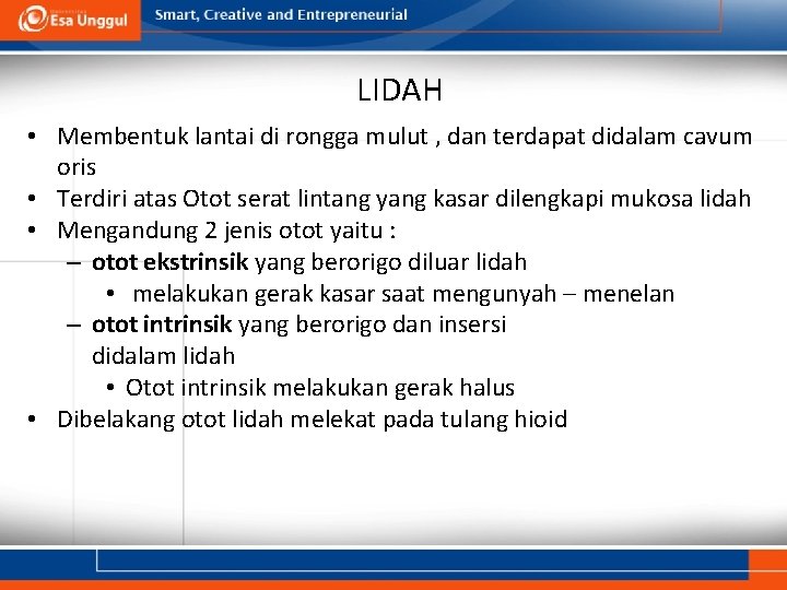 LIDAH • Membentuk lantai di rongga mulut , dan terdapat didalam cavum oris •