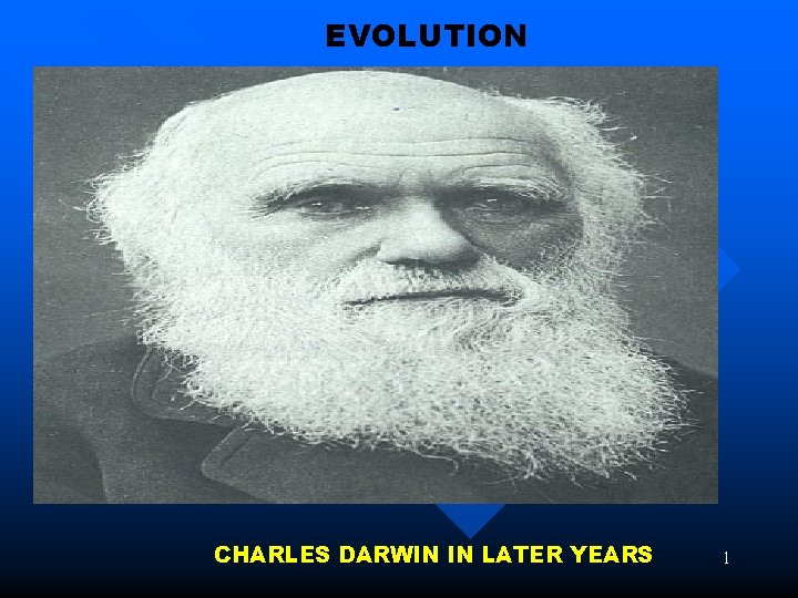 EVOLUTION CHARLES DARWIN IN LATER YEARS 1 