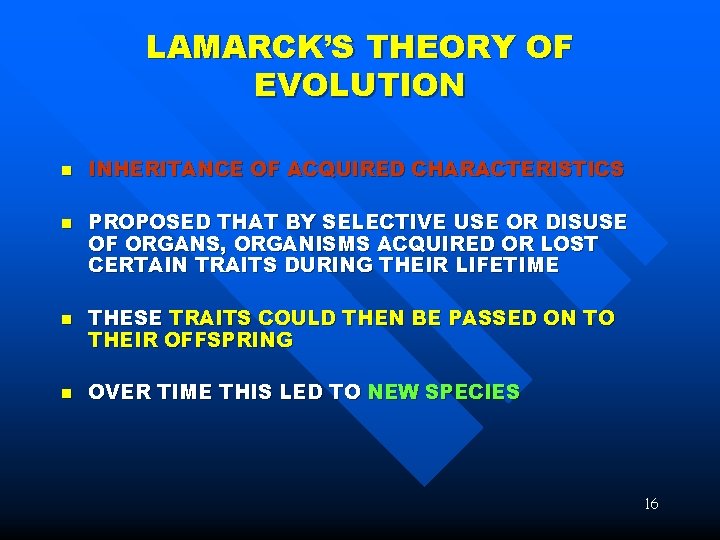 LAMARCK’S THEORY OF EVOLUTION n n INHERITANCE OF ACQUIRED CHARACTERISTICS PROPOSED THAT BY SELECTIVE