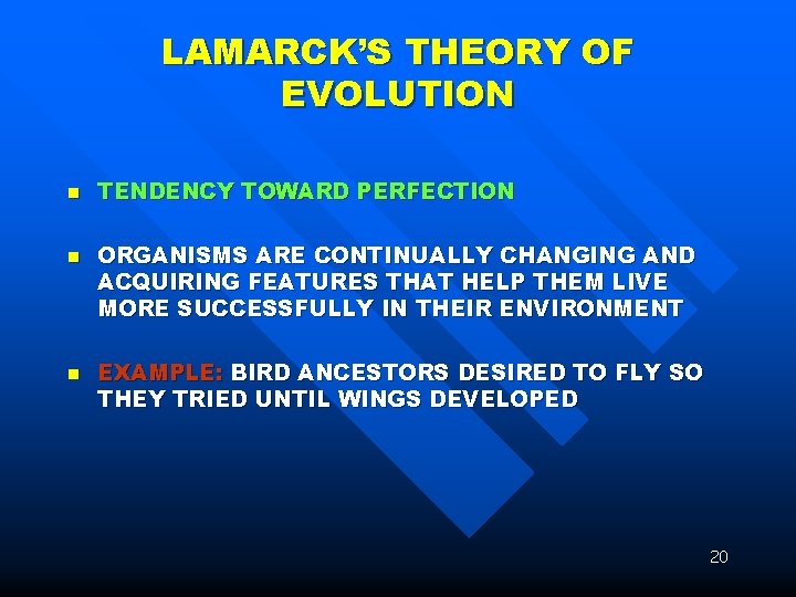 LAMARCK’S THEORY OF EVOLUTION n n n TENDENCY TOWARD PERFECTION ORGANISMS ARE CONTINUALLY CHANGING