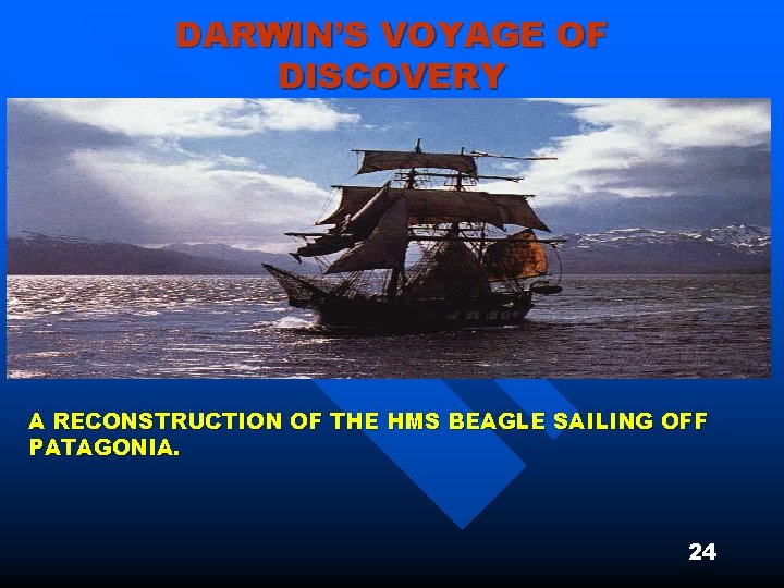 DARWIN’S VOYAGE OF DISCOVERY A RECONSTRUCTION OF THE HMS BEAGLE SAILING OFF PATAGONIA. 24