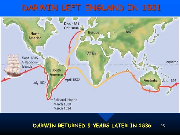 DARWIN LEFT ENGLAND IN 1831 DARWIN RETURNED 5 YEARS LATER IN 1836 25 