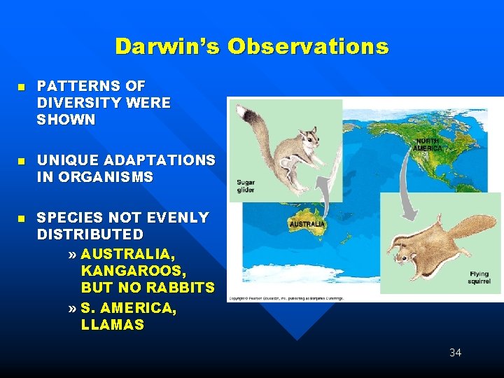 Darwin’s Observations n n n PATTERNS OF DIVERSITY WERE SHOWN UNIQUE ADAPTATIONS IN ORGANISMS