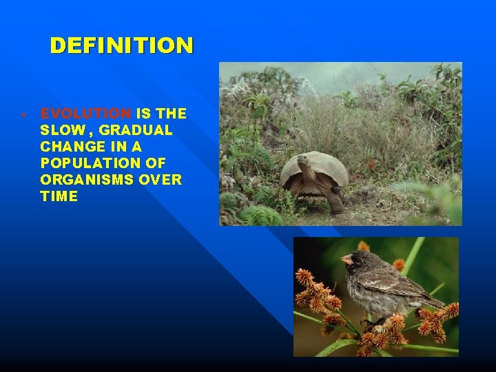 DEFINITION • EVOLUTION IS THE SLOW , GRADUAL CHANGE IN A POPULATION OF ORGANISMS