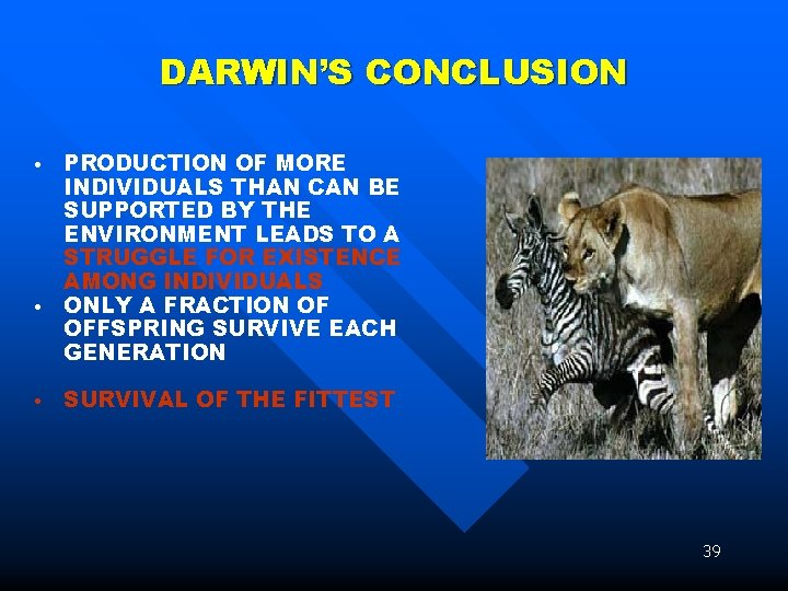 DARWIN’S CONCLUSION • • • PRODUCTION OF MORE INDIVIDUALS THAN CAN BE SUPPORTED BY