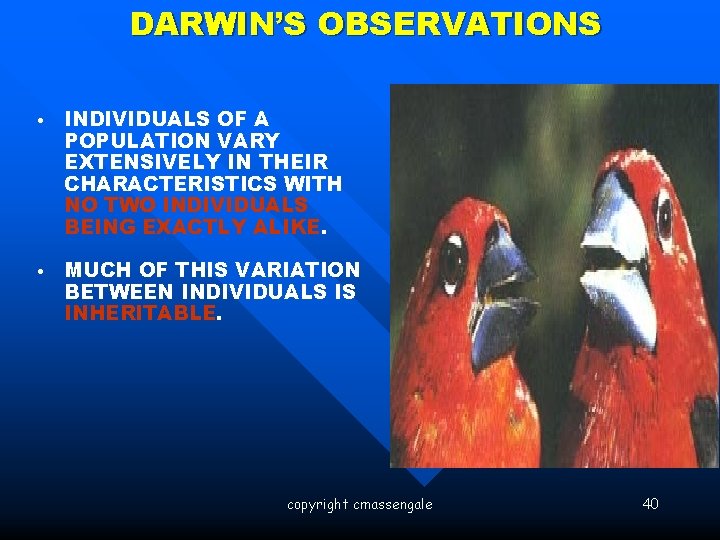 DARWIN’S OBSERVATIONS • INDIVIDUALS OF A POPULATION VARY EXTENSIVELY IN THEIR CHARACTERISTICS WITH NO