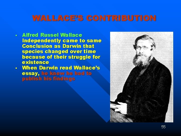 WALLACE’S CONTRIBUTION • • Alfred Russel Wallace Independently came to same Conclusion as Darwin