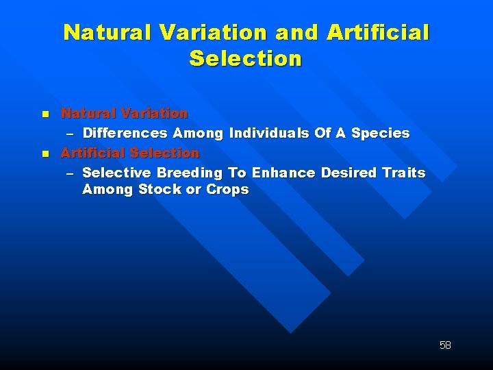 Natural Variation and Artificial Selection n n Natural Variation – Differences Among Individuals Of