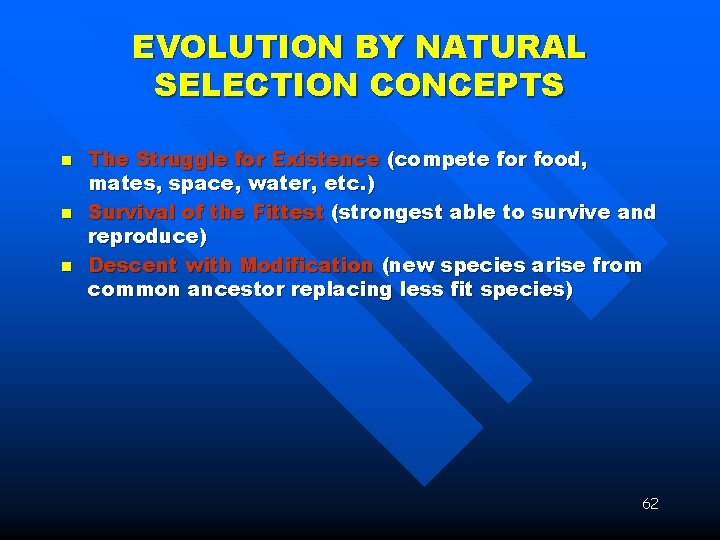 EVOLUTION BY NATURAL SELECTION CONCEPTS n n n The Struggle for Existence (compete for