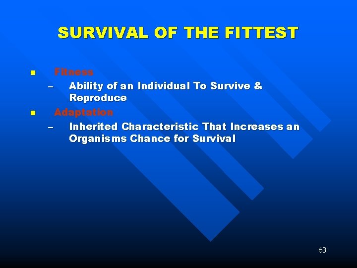 SURVIVAL OF THE FITTEST n n Fitness – Ability of an Individual To Survive