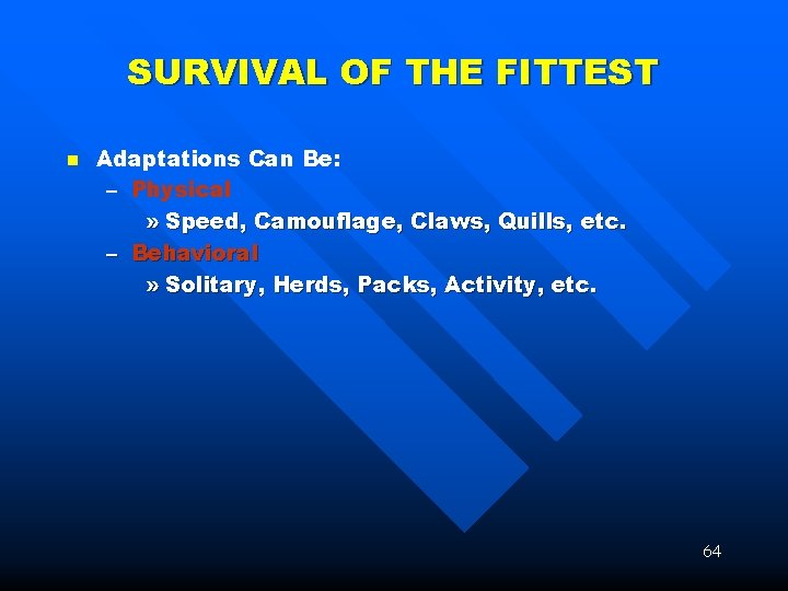 SURVIVAL OF THE FITTEST n Adaptations Can Be: – Physical » Speed, Camouflage, Claws,