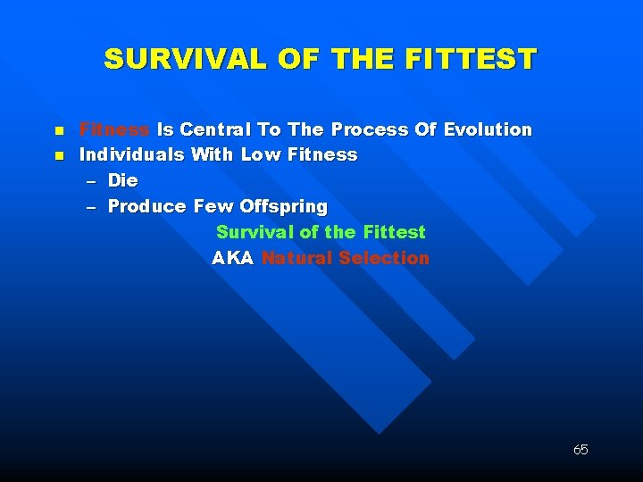 SURVIVAL OF THE FITTEST n n Fitness Is Central To The Process Of Evolution