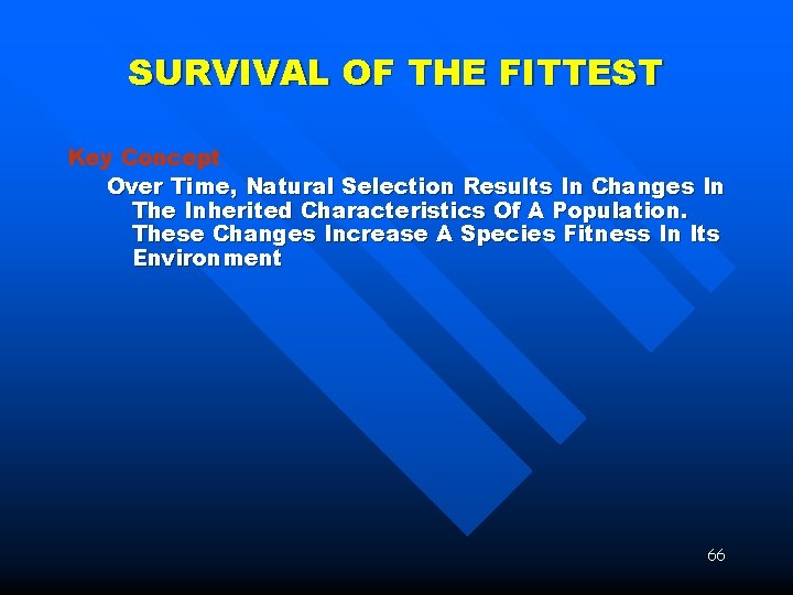 SURVIVAL OF THE FITTEST Key Concept Over Time, Natural Selection Results In Changes In