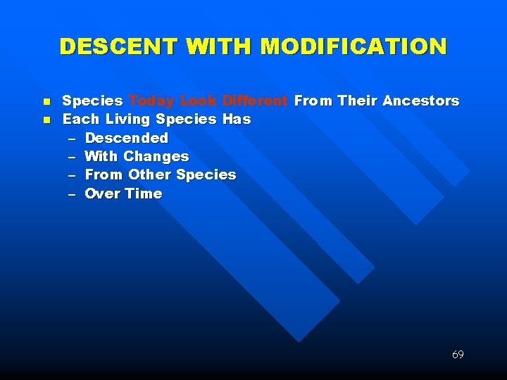 DESCENT WITH MODIFICATION n n Species Today Look Different From Their Ancestors Each Living