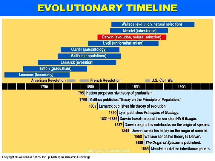 EVOLUTIONARY TIMELINE copyright cmassengale 7 