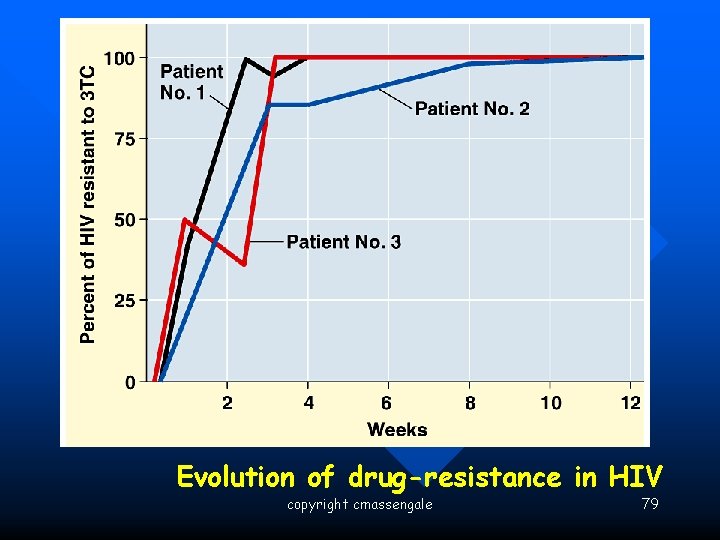 Evidence for Evolution – Evolution Observed Evolution of drug-resistance in HIV copyright cmassengale 79