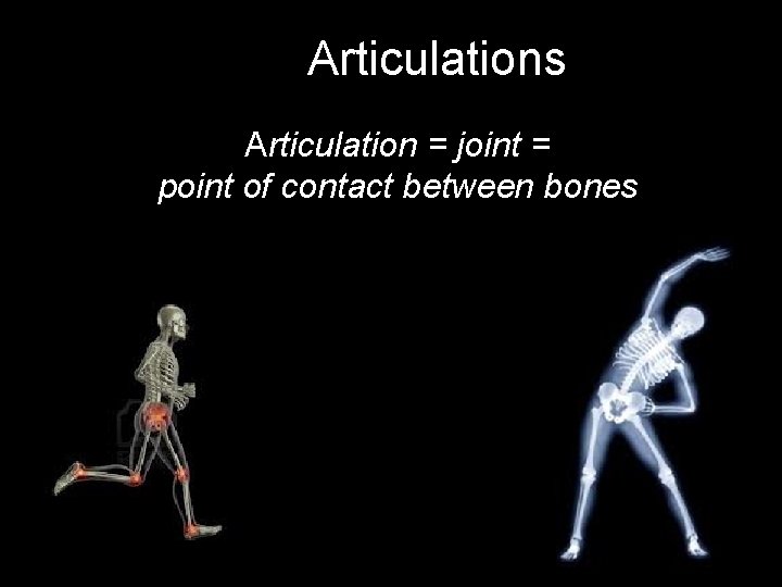  Articulations Articulation = joint = point of contact between bones 