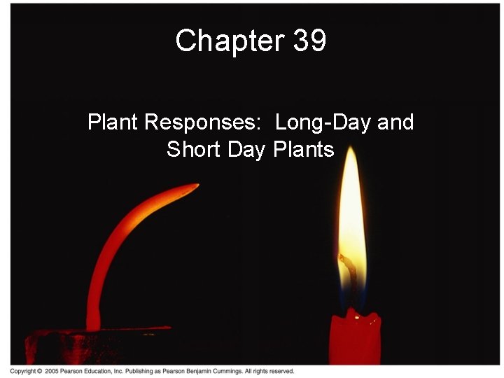 Chapter 39 Plant Responses: Long-Day and Short Day Plants 