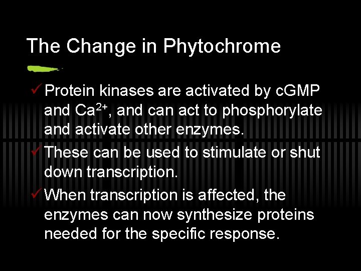 The Change in Phytochrome ü Protein kinases are activated by c. GMP and Ca