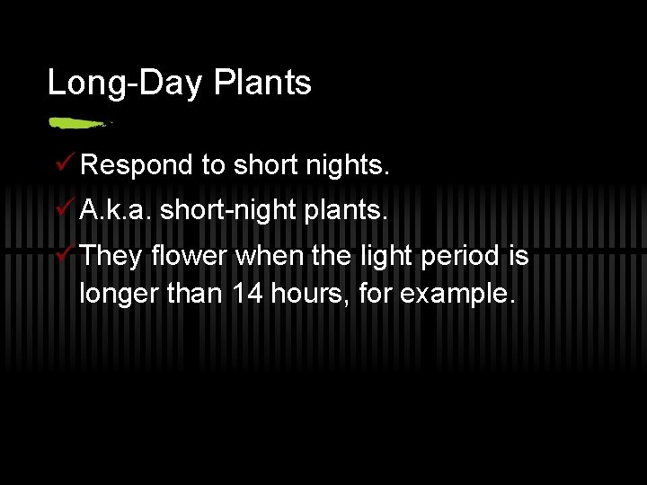 Long-Day Plants ü Respond to short nights. ü A. k. a. short-night plants. ü