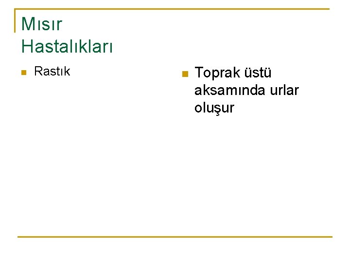 Mısır Hastalıkları n Rastık n Toprak üstü aksamında urlar oluşur 