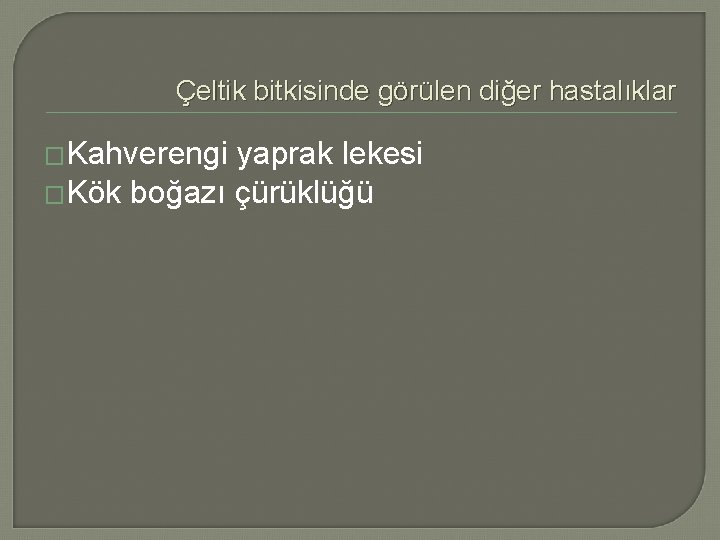 Çeltik bitkisinde görülen diğer hastalıklar �Kahverengi yaprak lekesi �Kök boğazı çürüklüğü 