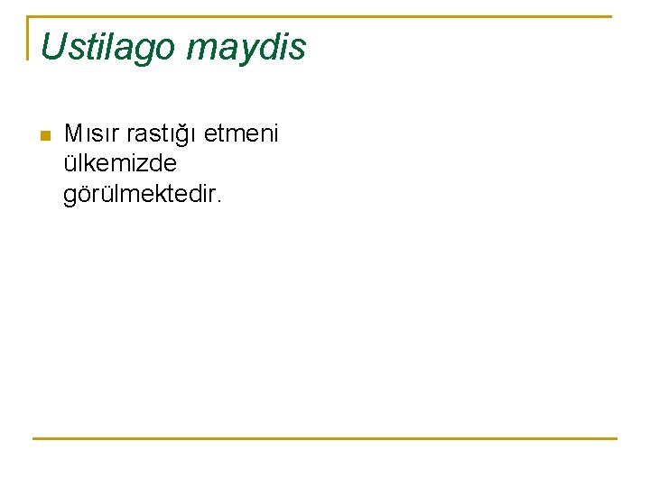 Ustilago maydis n Mısır rastığı etmeni ülkemizde görülmektedir. 